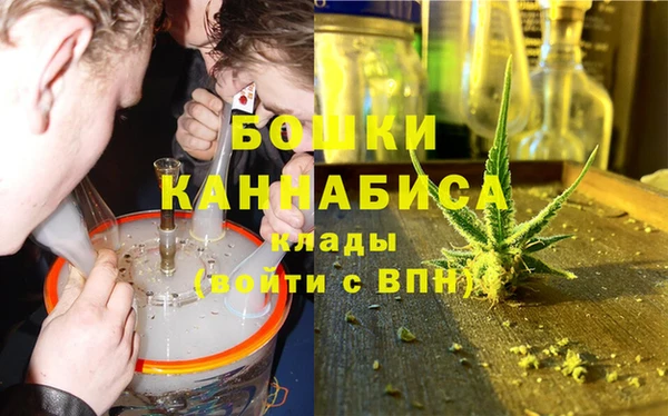 прущие грибы Алексеевка