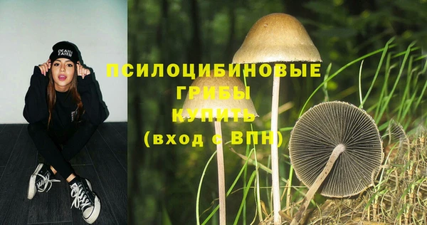 прущие грибы Алексеевка