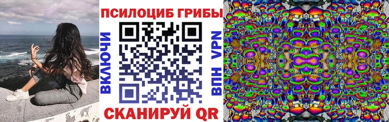 omg ONION  Данков  Псилоцибиновые грибы прущие грибы 